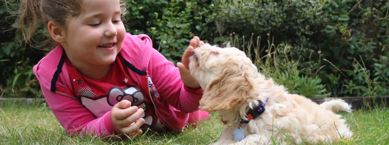 Las terapias con perros benefician a niños con autismo