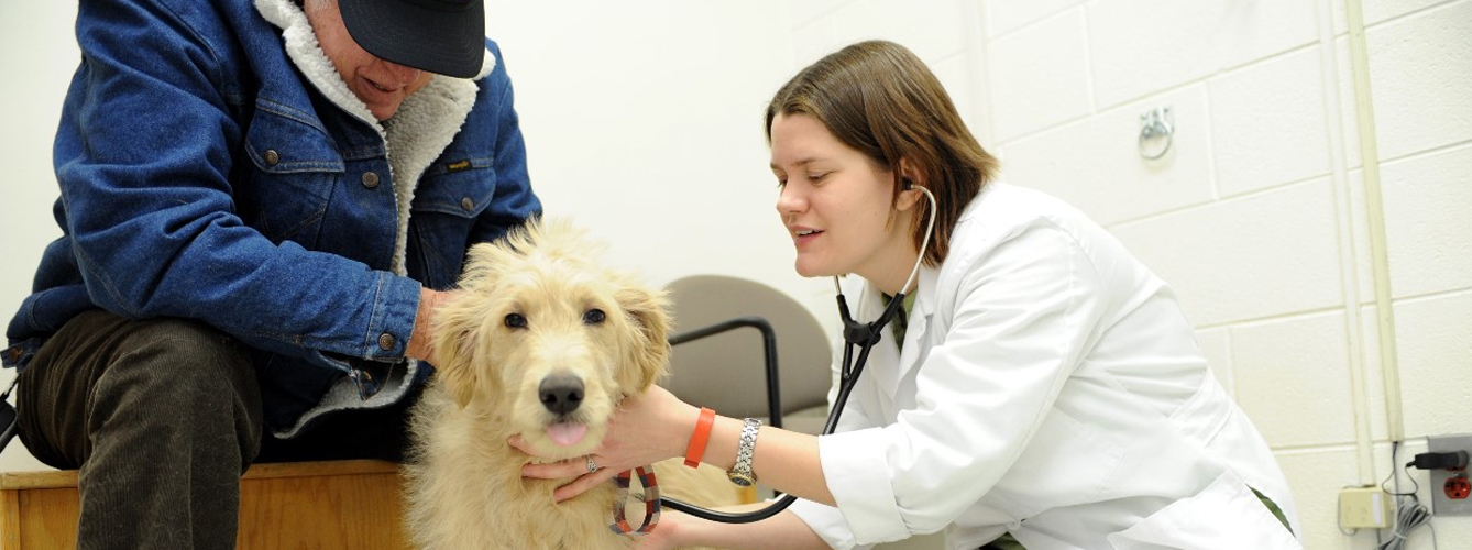 Los ciudadanos desconocen el valor de los fármacos veterinarios