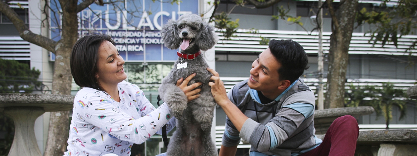 Una universidad de Costa Rica permite llevar perros a las aulas