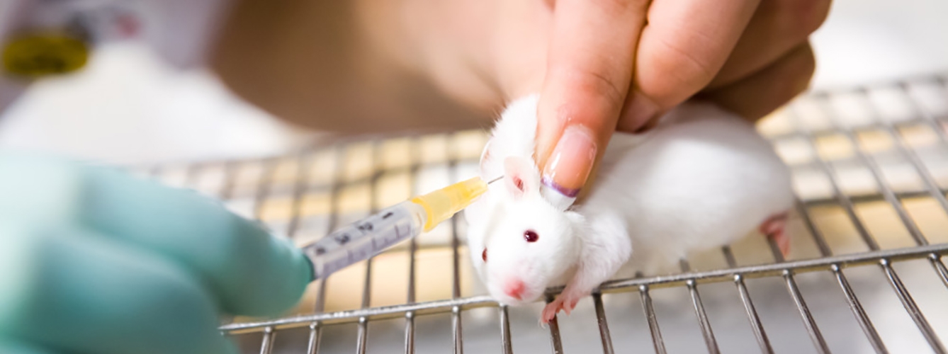 La EMA quiere un futuro sin estudios médicos con animales