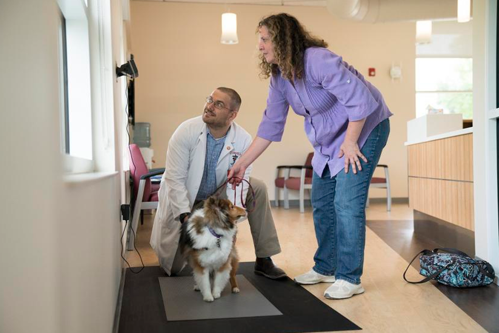 Hill’s Pet Nutrition ha elaborado un programa de control de peso para ayudar a veterinarios y propietarios en esta tarea.