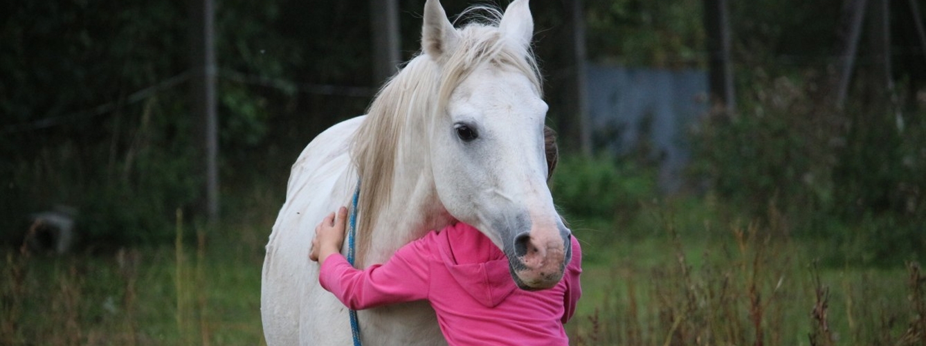 Las terapias con caballos ayudan a pacientes con esclerosis múltiple
