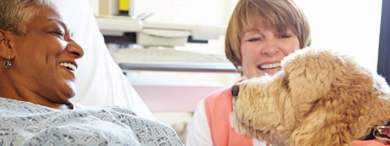 Un protocolo enfermero alienta las terapias con animales en hospitales