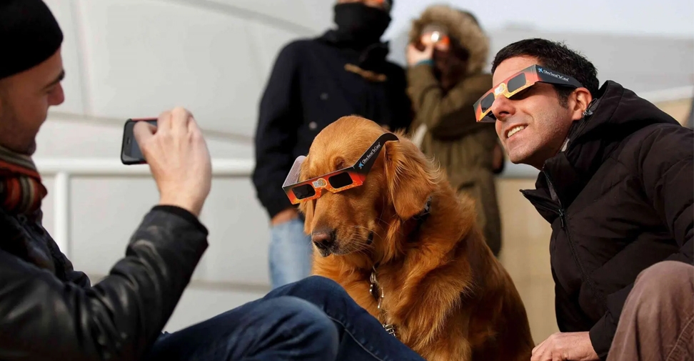 ¿Cómo afecta un eclipse solar a las mascotas y a otros animales?