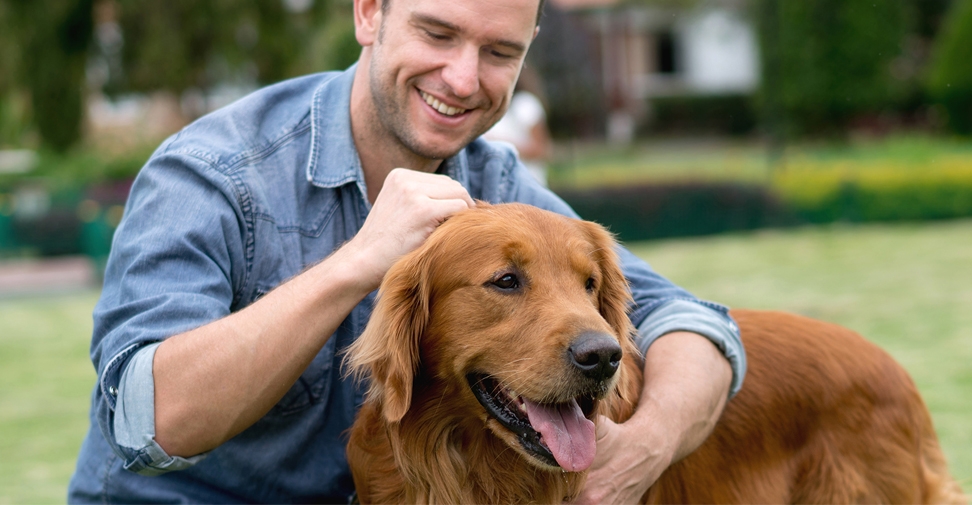 Analizan el riesgo de compartir bacterias resistentes entre perros y propietarios