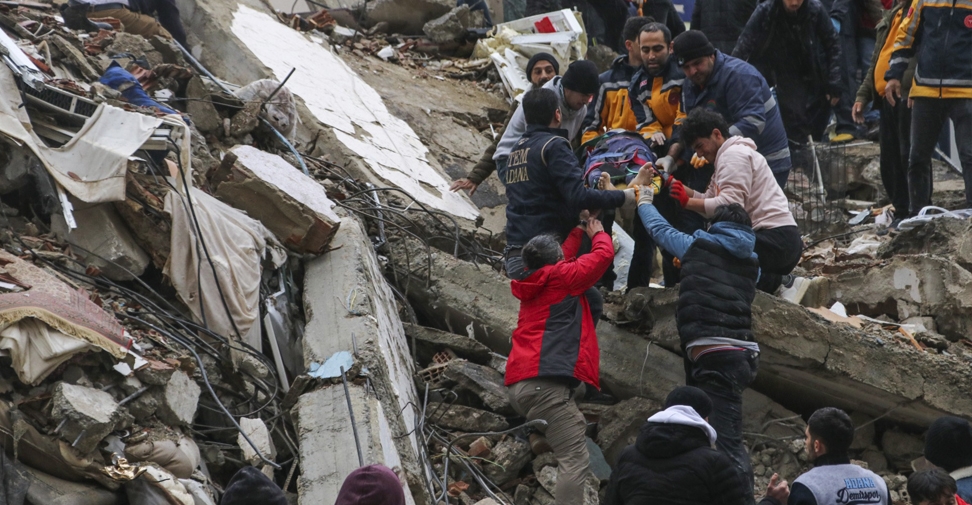 Los veterinarios de Turquía se movilizan ante la tragedia causada por los terremotos