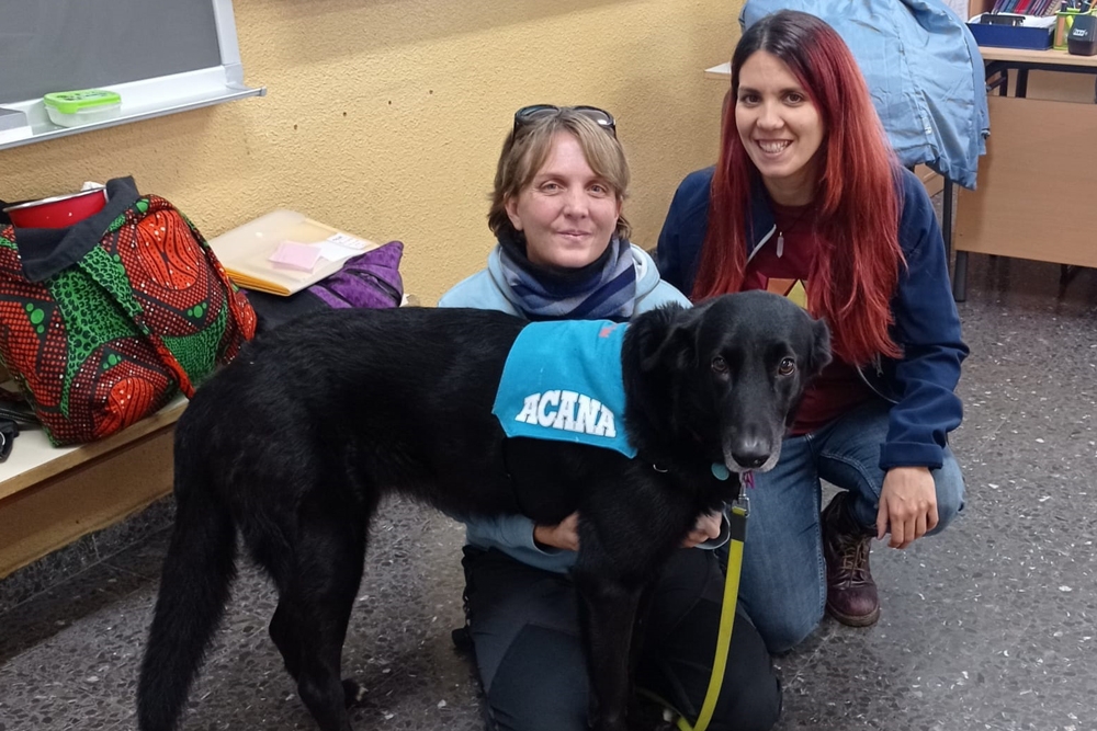 Acana colabora con CITA Terapias Animales en este proyecto con perros de terapia contra el acoso escolar.