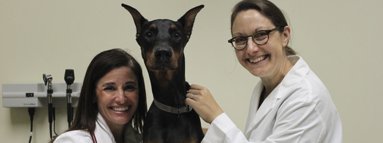 Amara Estrada, profesora de cardiología en la facultad de veterinaria de la UF, y Christy Pacak, ambas investigadoras han colaborado en estudios genéticos relacionados con el corazón de los doberman pinschers.