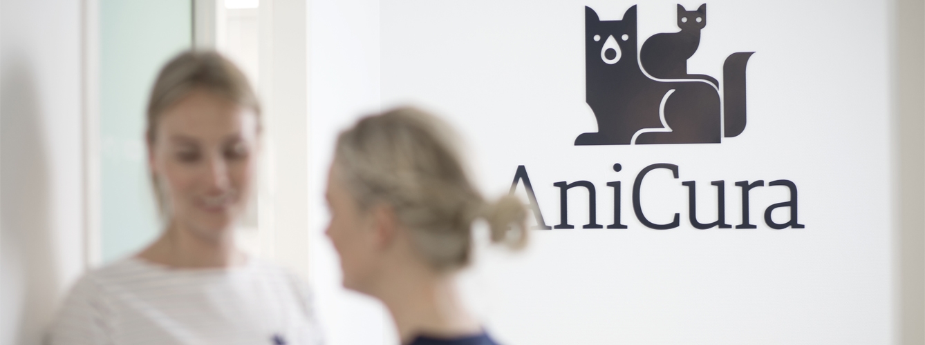 Anicura se ha convertido en uno de los principales proveedores de atención veterinaria de Europa.