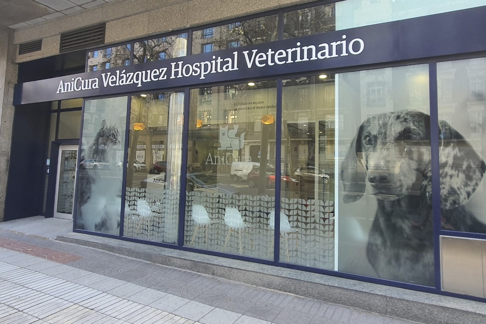 Fachada de AniCura Velázquez Hospital Veterinario.