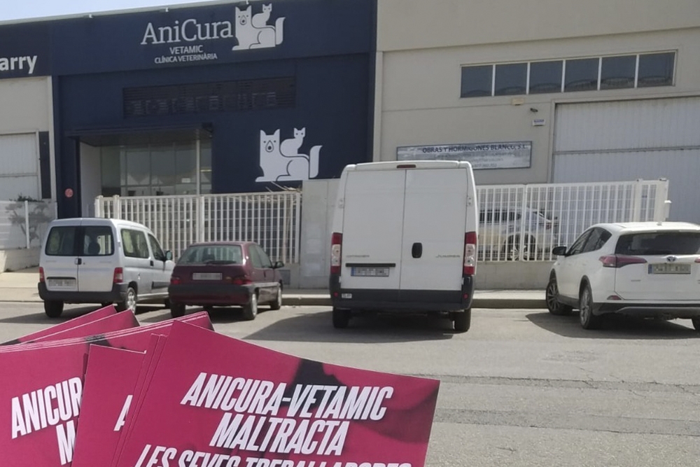 Un sindicato de veterinaria ha denunciado públicamente el presunto caso de acoso laboral a una mujer en un centro de AniCura, cuyo juicio tendrá lugar el 3 de febrero previsiblemente.