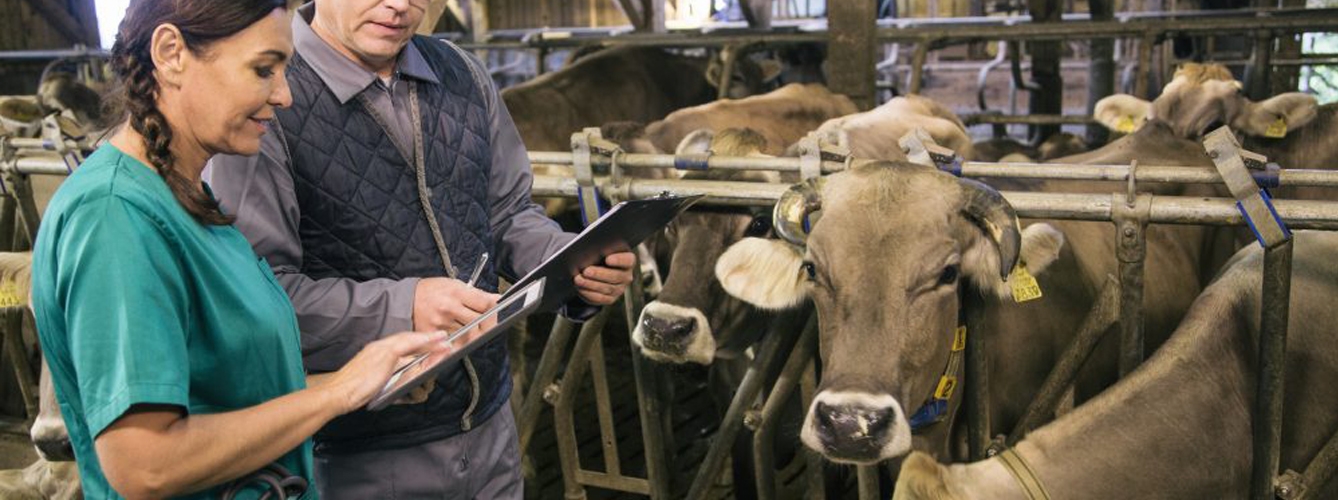 La reforma de la cadena alimentaria tendrá en cuenta costes veterinarios