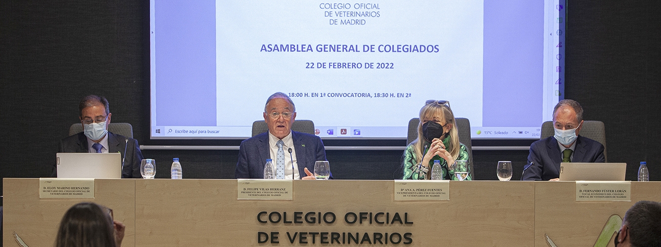 El Colegio de Veterinarios de Madrid ha celebrado su Asamblea General Ordinaria en un formato mixto.