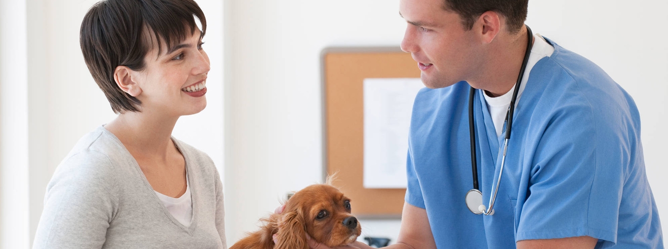 El trato al animal de compañía y al cliente son fundamentales, sobre todo si el veterinario pretende fidelizar. 