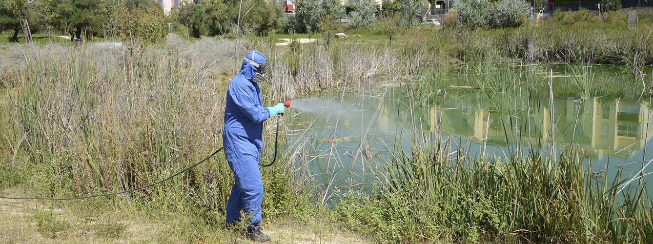 Fumigación de lagos para combatir el vector del virus del Nilo Occidental.