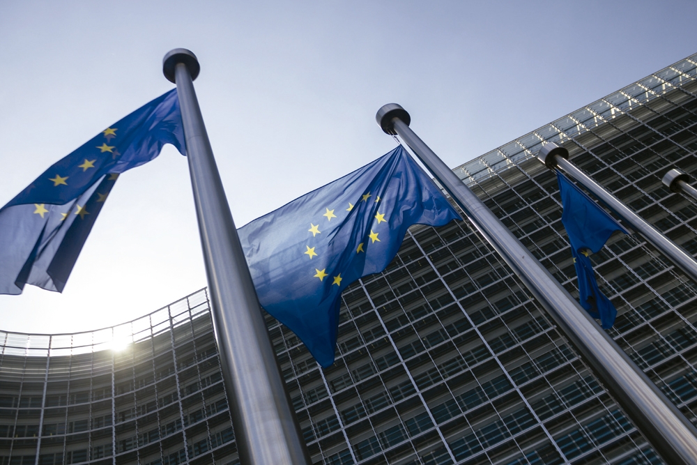 La OCV destaca que el proceso abierto entre la FVE y la Comisión Europea permite un primer avance.