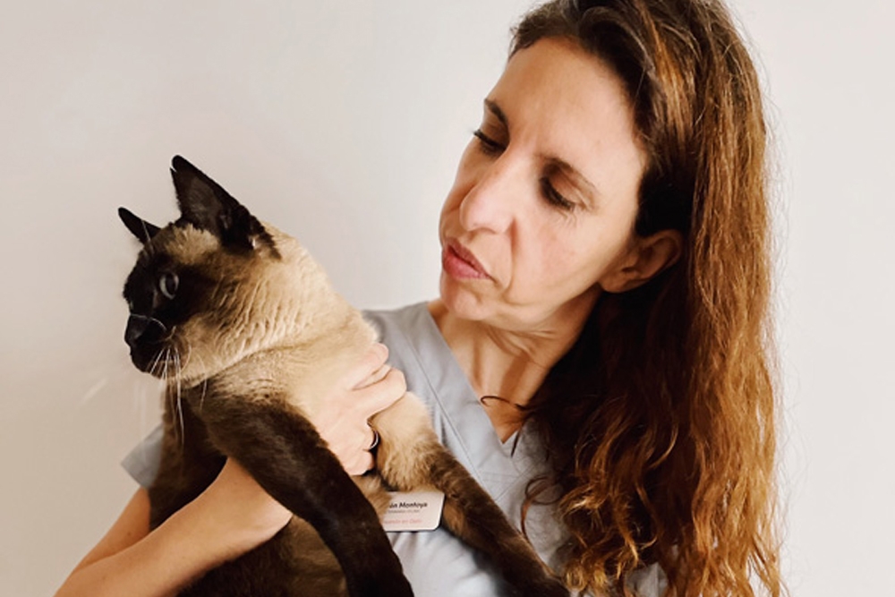 Belén Montoya muestra las opciones cat friendly que tienen los veterinarios para un manejo correcto.