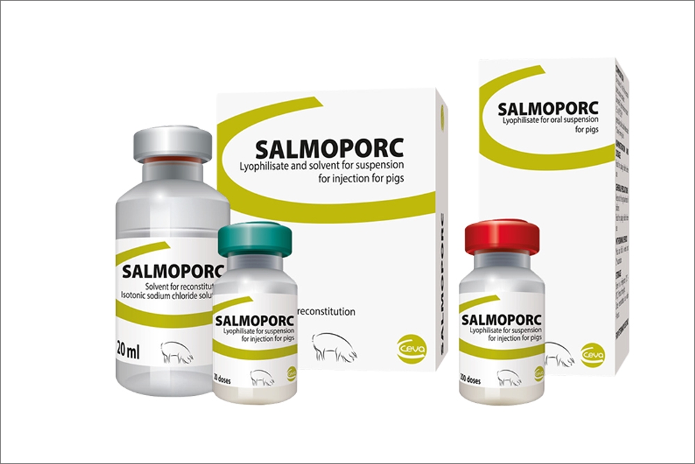 Salmoporc de Ceva está indicada para la inmunización activa de cerdas y lechones frente a Salmonella.