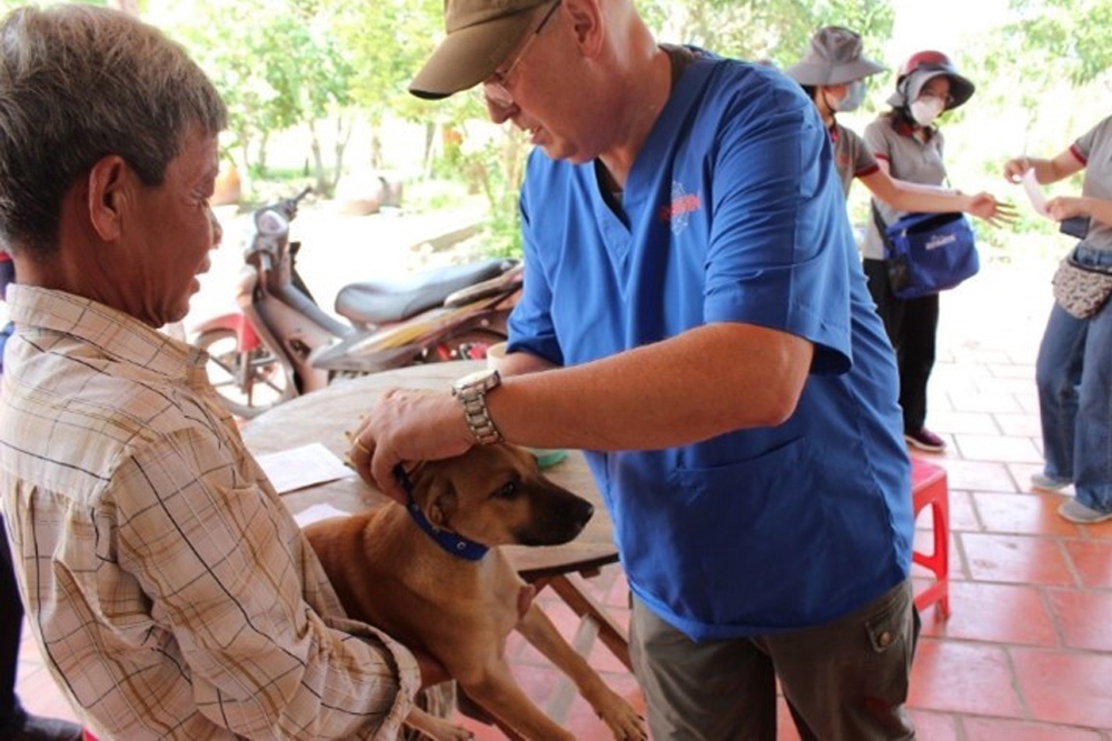 La vacunación de perros es fundamental para la prevención de la rabia.