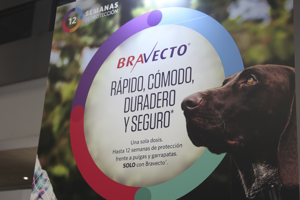 MSD Animal Health ha recibido la opinión positiva del CVMP para una formulación inyectable de Bravecto (Fluralaner) para su uso en perros.
