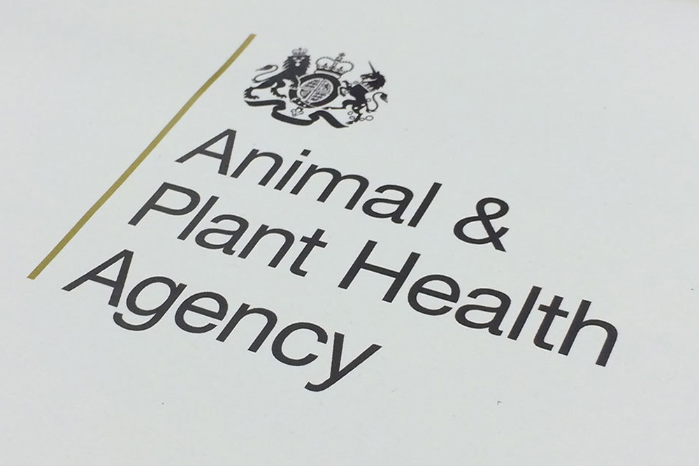 La Agencia de Salud Animal y Vegetal de Reino Unido (APHA) ha publicado su nuevo informe trimestral de zoonosis y salud pública veterinaria.