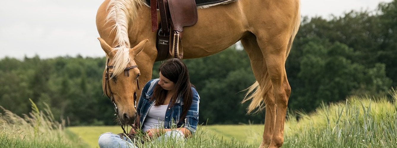 Los caballos perciben las emociones humanas de la cara y la voz 