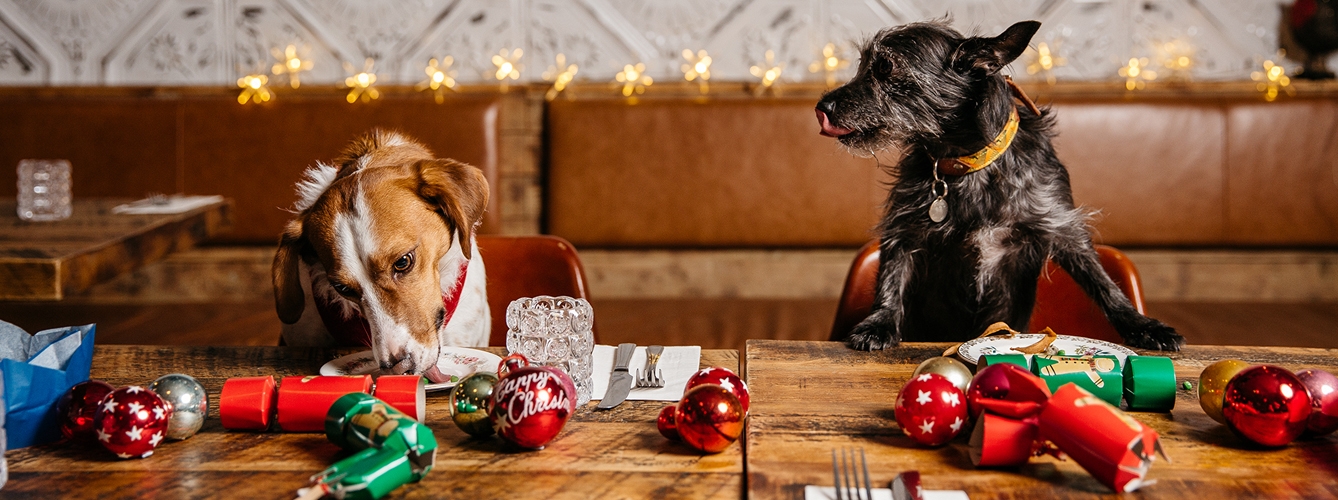 El 85% de propietarios de perros les ofrece una cena de Navidad