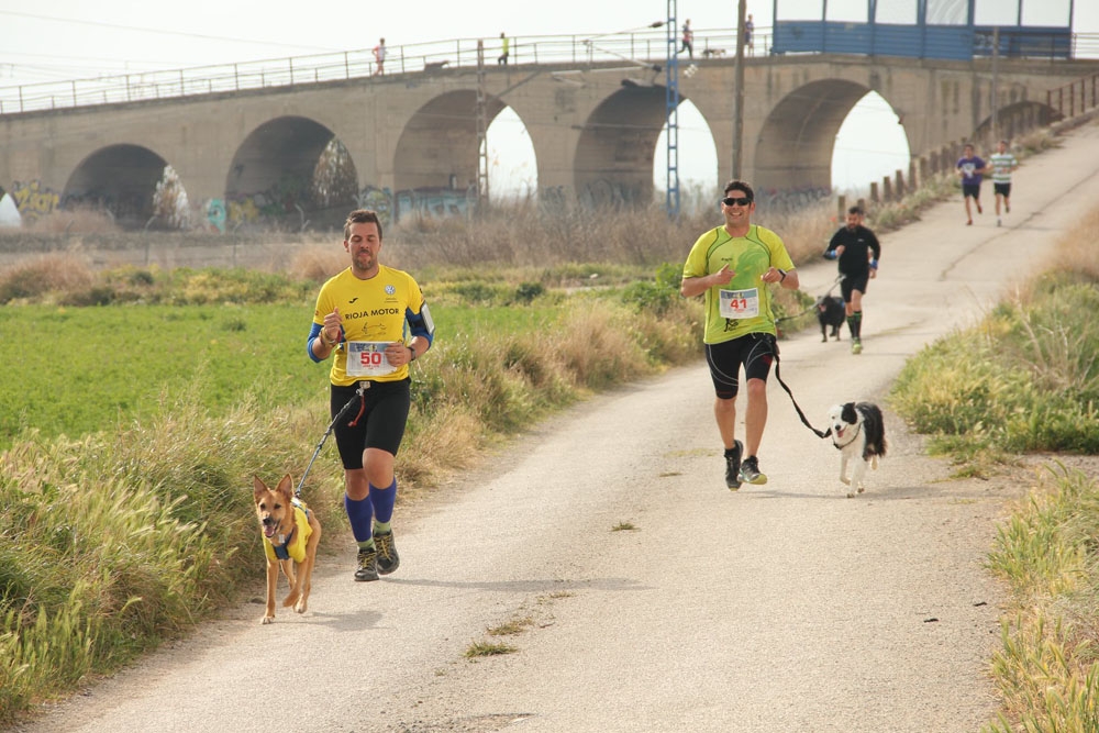 Los participantes podrán correr o pasear por un recorrido de 6.500 metros en la V edición de la carrera Animalrunizar. 