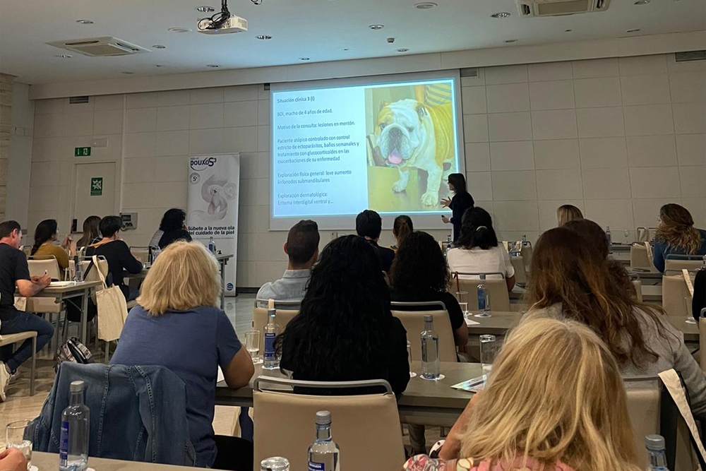 Imagen de la conferencia para el uso racional de antibióticos en dermatología veterinaria ofrecida por Ceva Salud Animal.