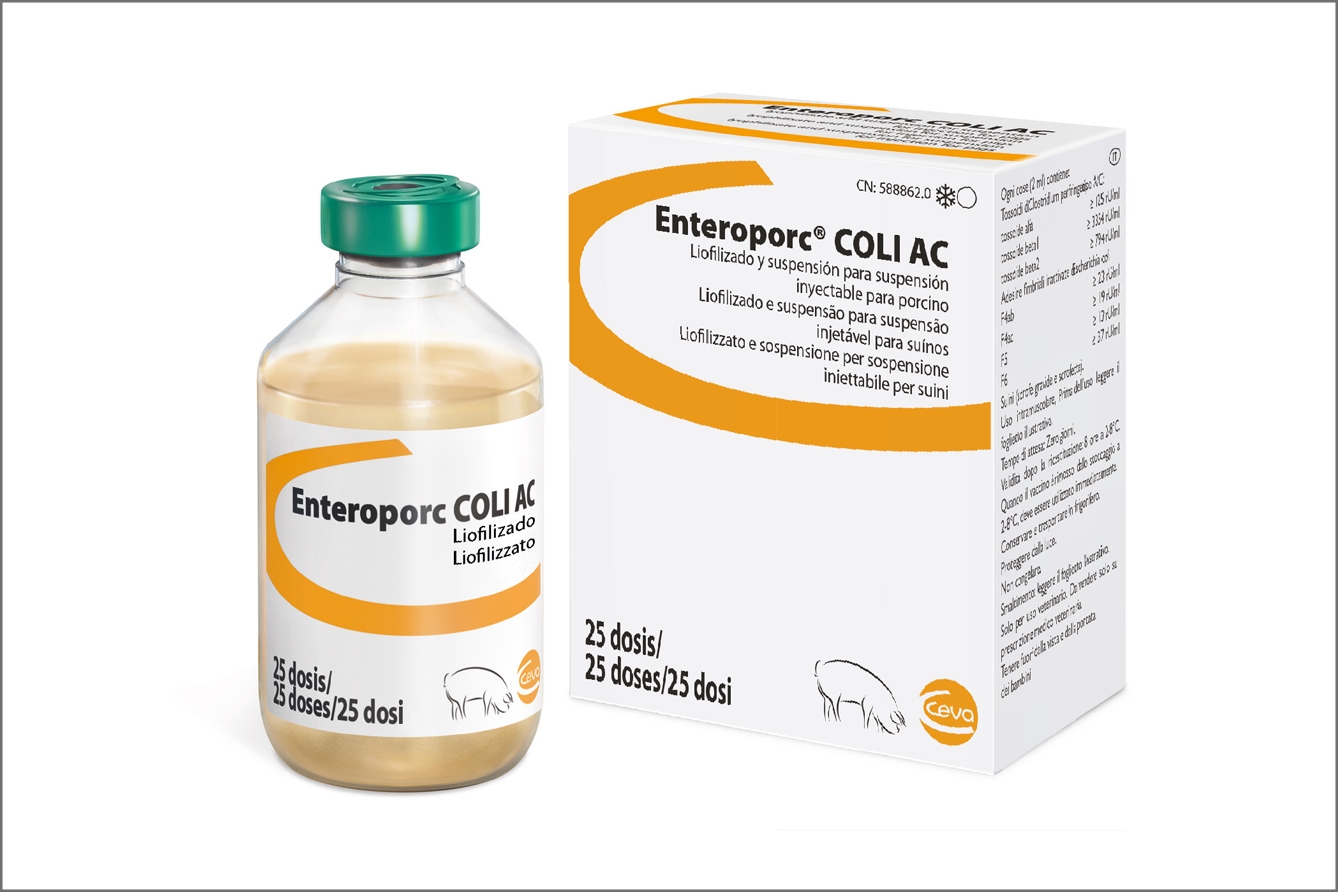 Enteroporc Coli AC de Ceva Salud Animal induce anticuerpos de protección frente a los 7 antígenos más relevantes en la diarrea neonatal.