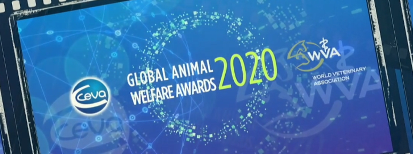 La WVA entregará sus Premios de Bienestar Animal el 29 de octubre