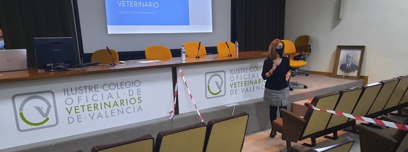 Imagen de la charla sobre medicamentos veterinarios en el Colegio de veterinarios de Valencia.