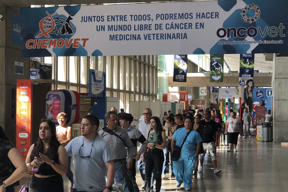 Chemovet presentó sus productos oncológicos (línea Oncovet), y su línea de productos generales y complementos alimenticios en el Congreso Veterinario de León.