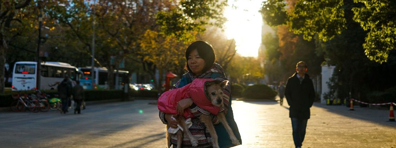 Wenshan, la ciudad que prohíbe pasear al perro de día