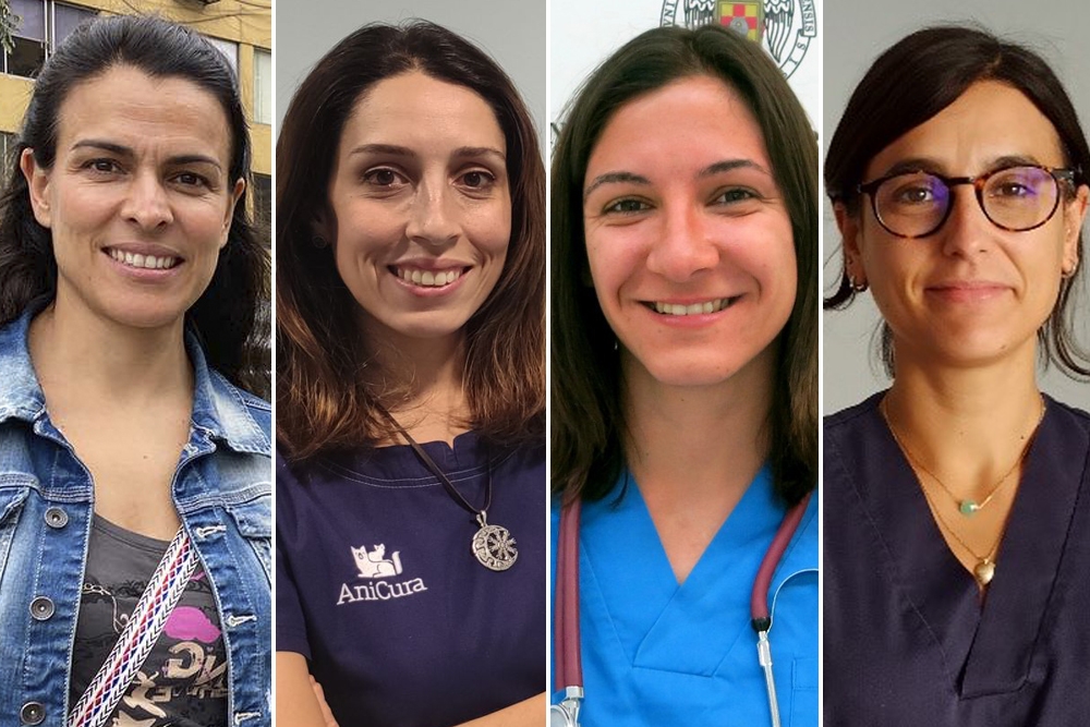 El Club de la Anestesia 2024 de Fatro será impartido por las especialistas en anestesiología Eva Rioja, Clara Conde, Rocío Bustamante y Rocío Fernández Parra.