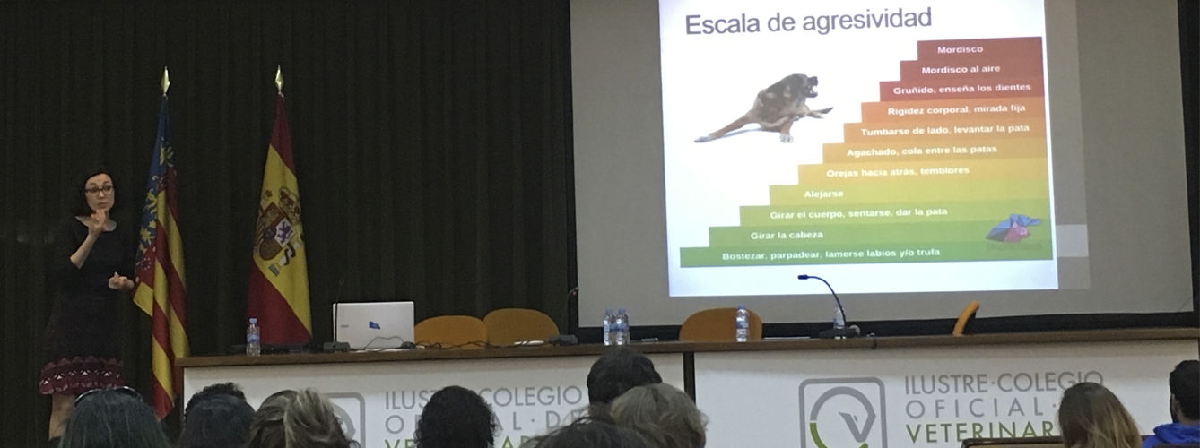 La veterinaria etóloga Marina Miralles hablando sobre la escala de agresividad en perros