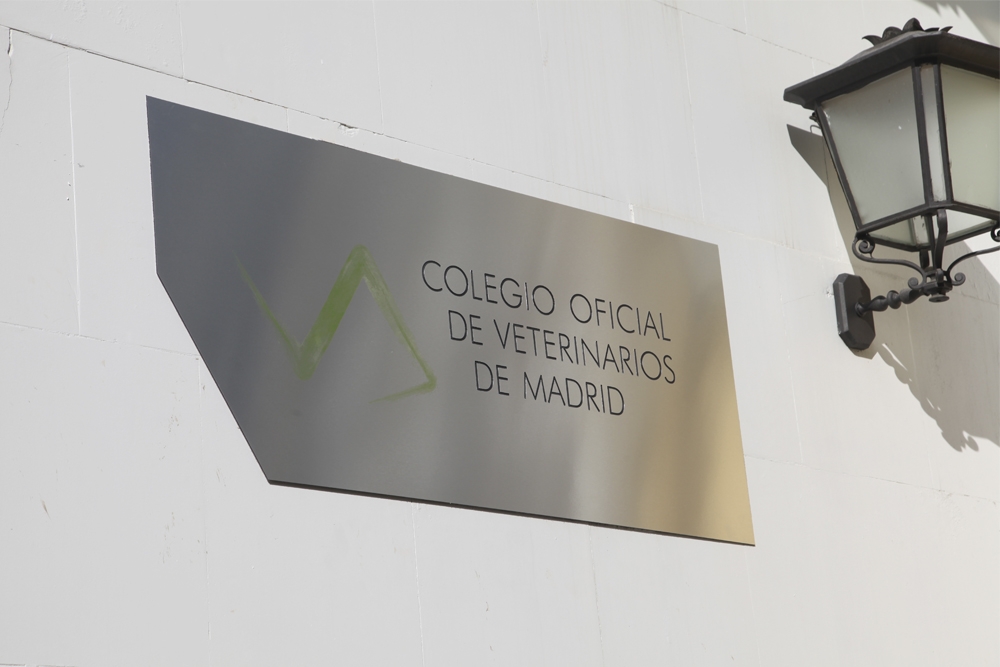 El seguro de responsabilidad civil del Colegio de Veterinarios de Madrid regula de forma clara y transparente la cobertura del Daño Moral.