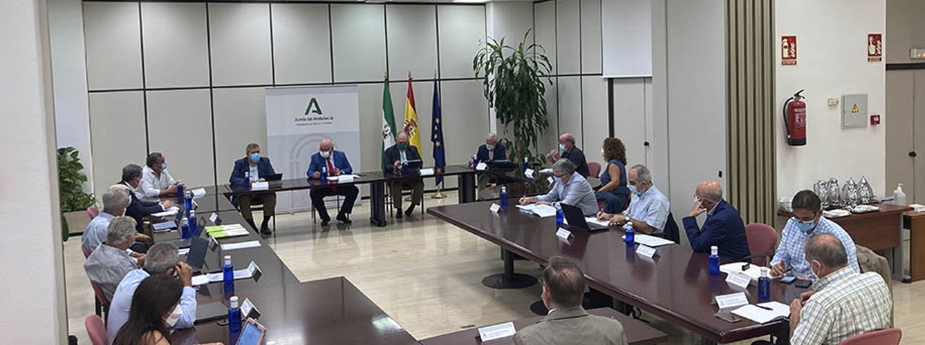 Imagen de la primera reunión del Comité Asesor Externo para el balance de gestión y propuestas de mejora ante la pandemia por Covid-19 de Andalucía.