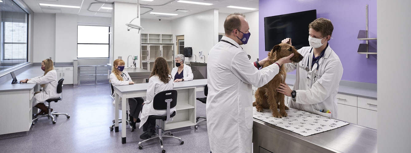 En el Centro de Nutrición Animal de Hill's más de 200 veterinarios y científicos trabajan a la vanguardia de la alimentación animal.