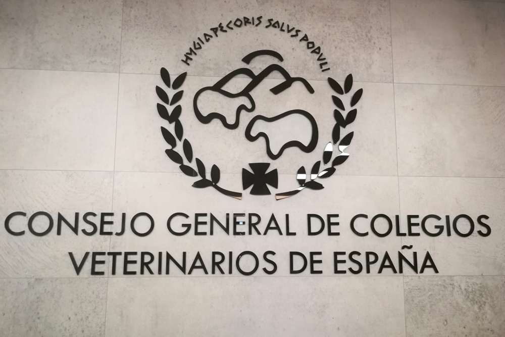 El informe del Consejo General de Colegios Veterinarios de España analiza la Ley de Protección, Derechos y Bienestar de los Animales.