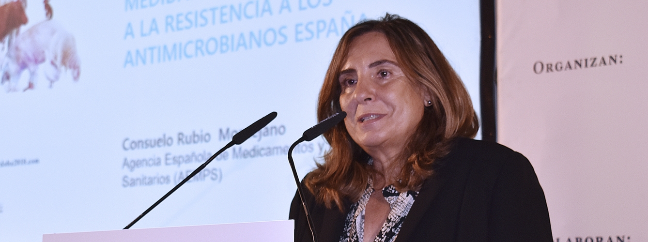 Consuelo Rubio, Jefa del Departamento de Medicamentos Veterinarios de la Aemps.