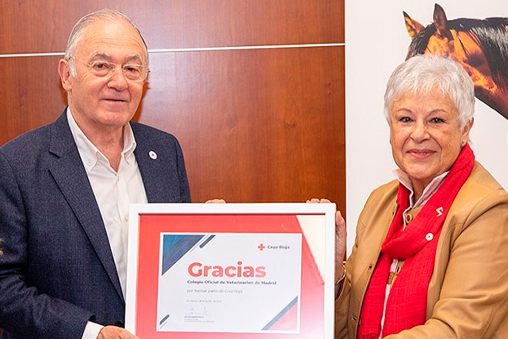 Alicia Delgado, presidenta de Cruz Roja, y Felipe Vilas, presidente de Colvema.