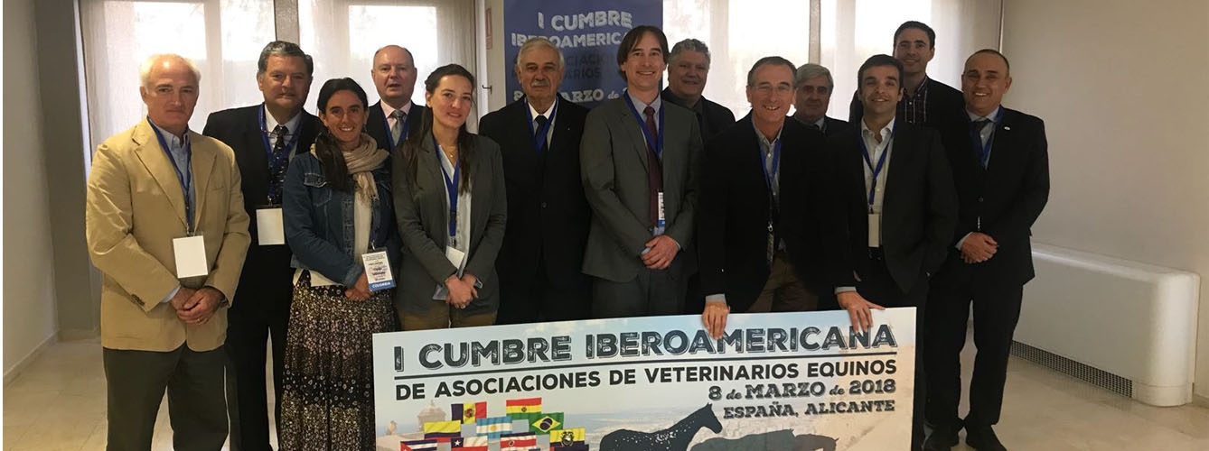 Primera Cumbre Iberoamericana de Veterinarios Equinos 
