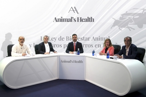La Ley de Bienestar Animal y los seguros obligatorios para perros en España