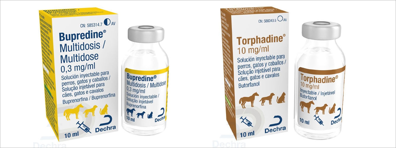 Dechra tiene disponible toda su gama de opioides con el reciente lanzamiento de Bupredine y Torphadine.