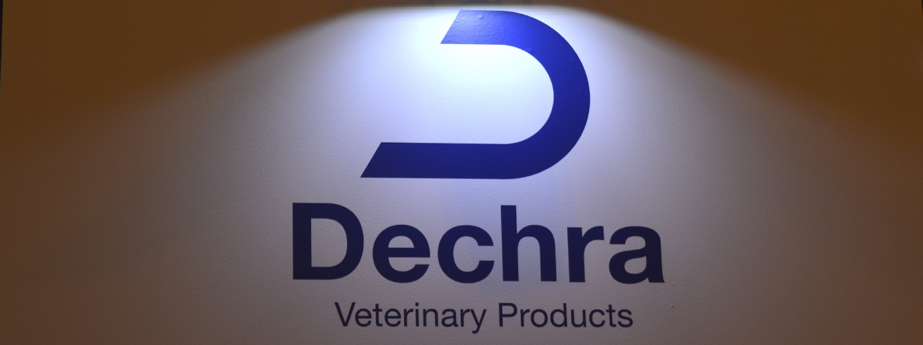 Dechra lanza un nuevo proceso para el tratamiento del Cushing en perros