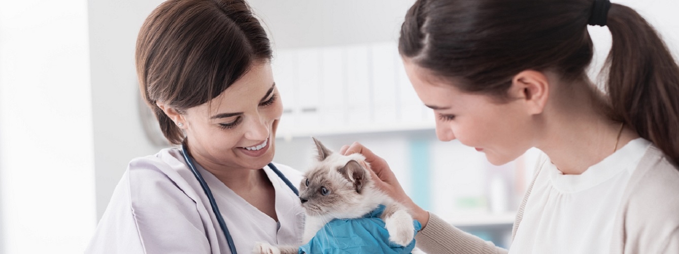 Las mujeres suponen el 70% de los veterinarios colegiados menores de 35 años en España.