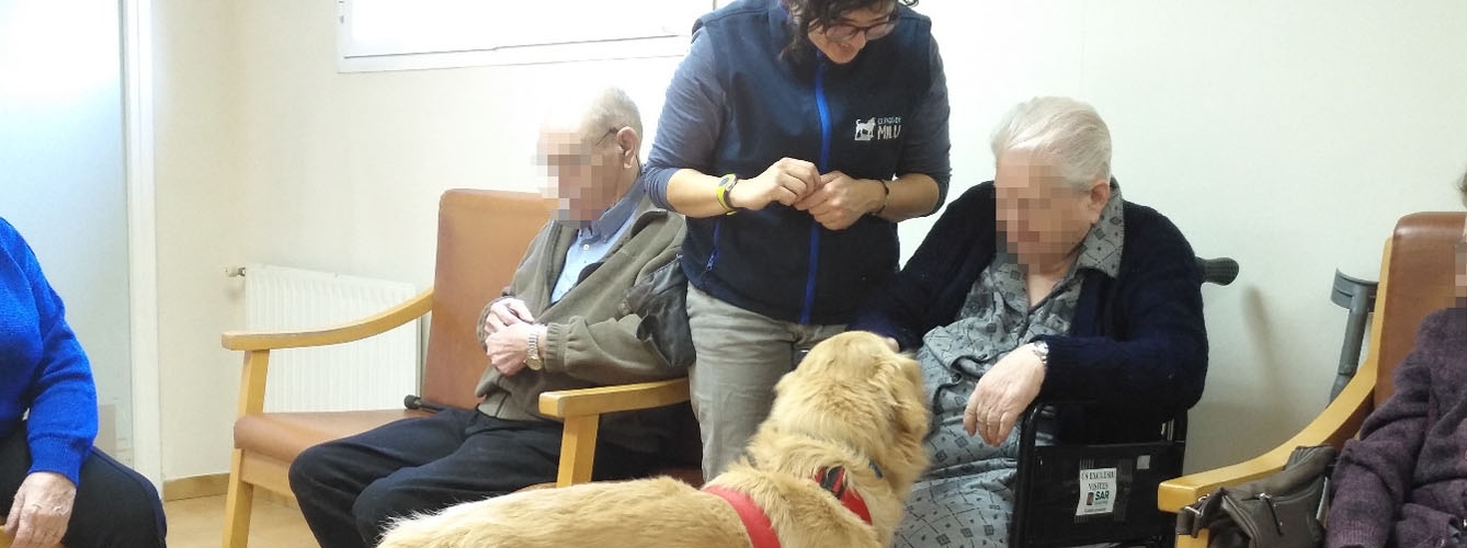 Una de las sesiones de terapia con perros dirigida a pacientes con alzhéimer. Imagen: Fundación El Racò de Milu.