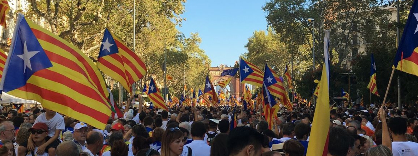 La situación política sigue afectando a los veterinarios catalanes