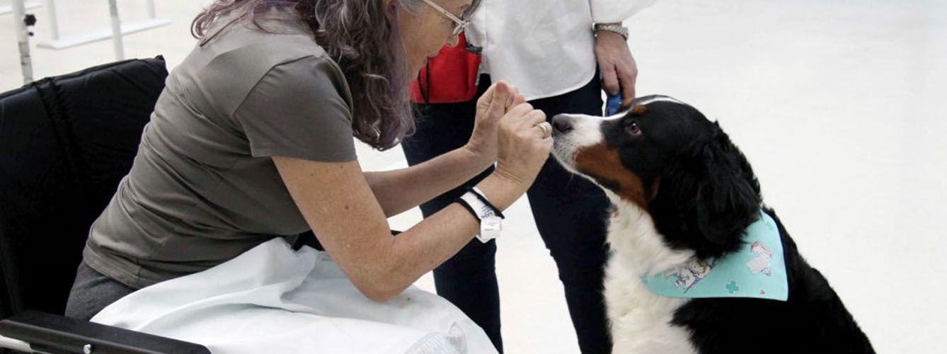 Los animales de terapia, un apoyo clave para los discapacitados